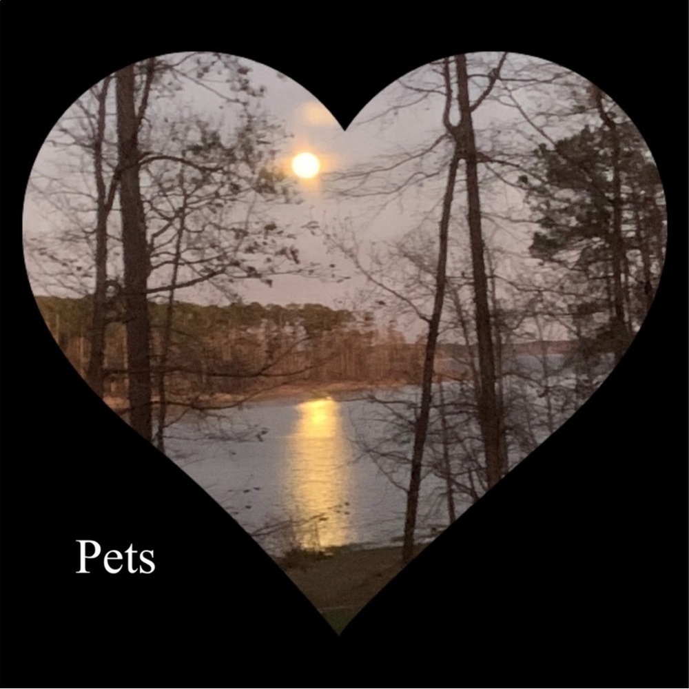 All things pets
